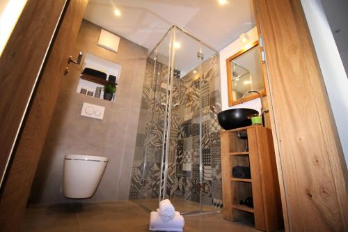 ヴェステンドルフにあるAlpenloft by Apartment Managersのバスルーム(シャワー、トイレ付)