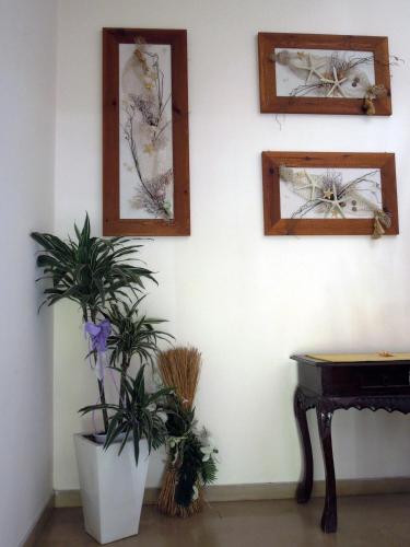 a room with two plants and a piano and pictures at Hotel Mondial in Bellaria-Igea Marina