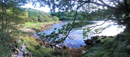 a view of a river from a hill with trees at Fernwood in Clifden