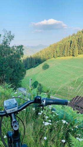 a view of a field from the handlebars of a bike at Landhotel Hirschen in Oberwolfach