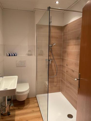 a bathroom with a shower and a toilet and a sink at Fewo Weser in Holzminden