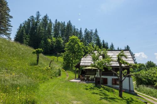 a house in the middle of a grassy hill at Natur pur Pikovo in Črna na Koroškem