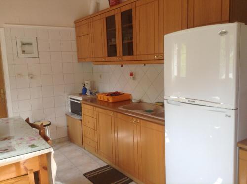 a kitchen with wooden cabinets and a white refrigerator at Πανδοχείο Λίμνης Πλαστήρα in Kastaniá