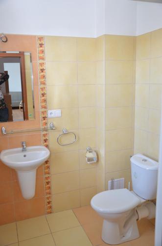 a bathroom with a toilet and a sink at Promenáda Jasmin Lucy - Myši v botě in Lipno nad Vltavou