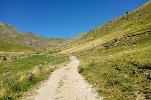 a dirt road in the middle of a grassy hill at La Foux d'Allos Vacances nature Espace Lumière in La Foux