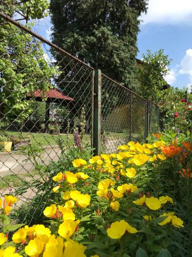 a bunch of yellow flowers in front of a fence at Garden's apartman - Kosjerić in Kosjerić