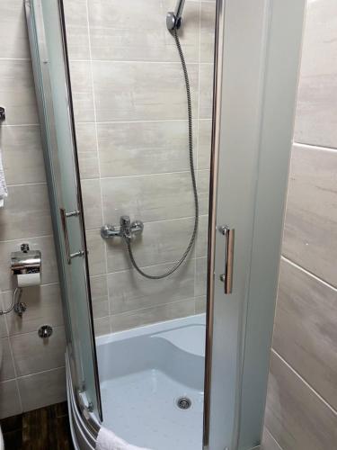 a bathroom with a shower with a bath tub at Apartment Iva in Boreti