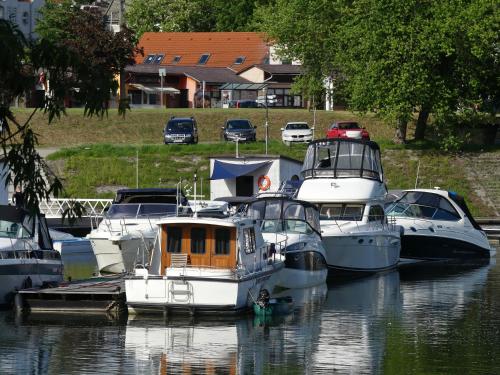 Výhled na řeku, která protéká v blízkosti hostelu