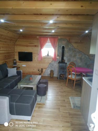 a living room with a couch and a stove at Apartman Jegdic-Zabljak in Žabljak