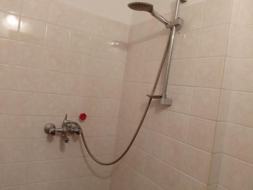 a shower with a shower head in a bathroom at Къща за гости Петрови in Primorsko
