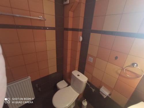 baño con aseo blanco en una habitación en Apostolia Lux Apartments, en Volos