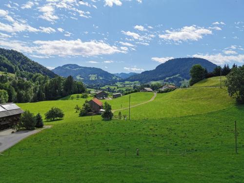 a green field with mountains in the background at Living Apartment_2 in Hittisau