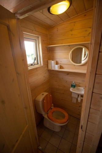a small wooden bathroom with a toilet and a sink at chalet Esra 190 in Sint Annaland