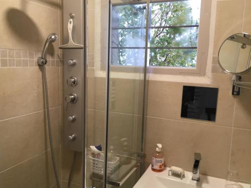 a bathroom with a shower with a sink and a mirror at Chalet Lou Griou in Saint-Jacques-des-Blats