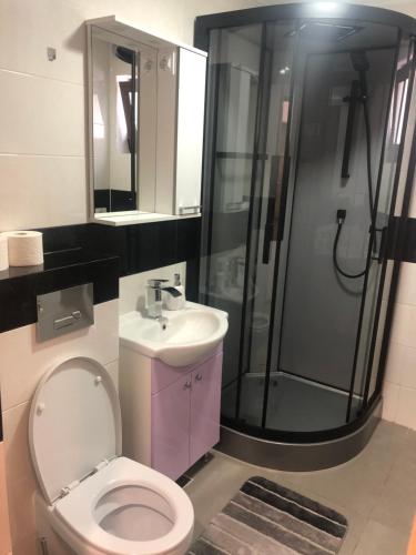 a bathroom with a toilet and a shower and a sink at Vibe studio in Piatra Neamţ