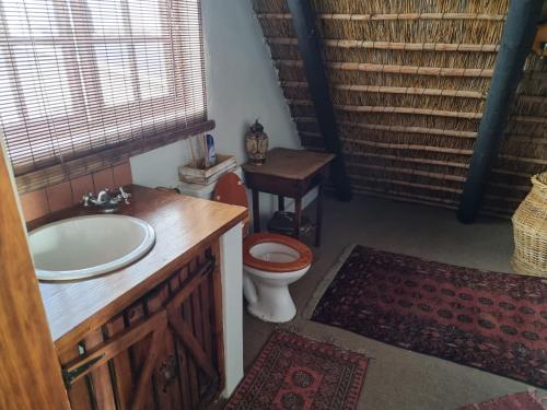 a bathroom with a toilet and a sink at StarFish Accommodation in Struisbaai