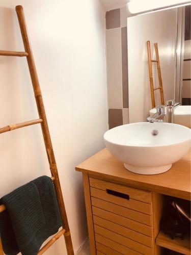 une salle de bain avec un lavabo et un miroir sur un comptoir dans l'établissement Le jungle charmant appartement avec extérieur, à Nîmes