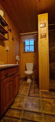 baño de madera con aseo y ventana en Domek Wilga, en Wilga