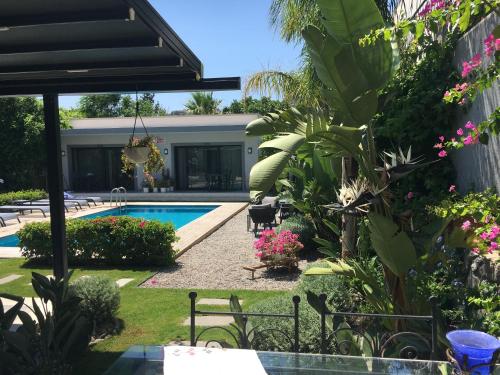 a house with a swimming pool and some plants at Villa Oliva Butik Hotel in Bodrum City