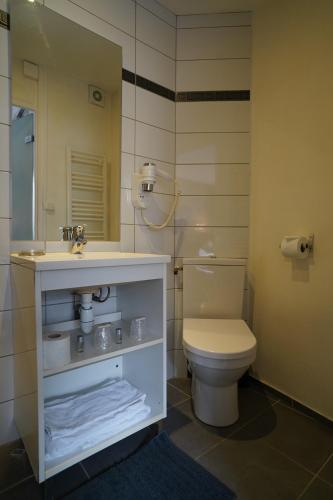a bathroom with a toilet and a sink at Hotel De Quebec in Rouen