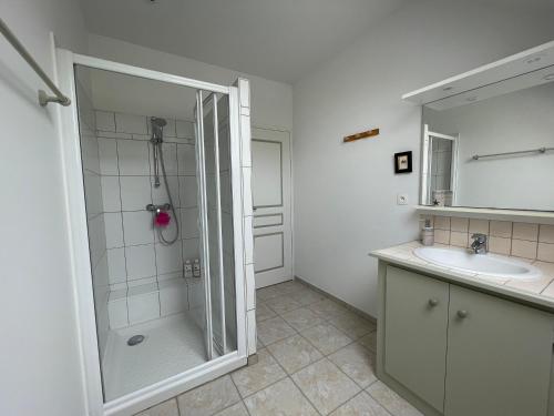 La salle de bains est pourvue d'une douche et d'un lavabo. dans l'établissement LA BELLE ETOILE, à Valençay