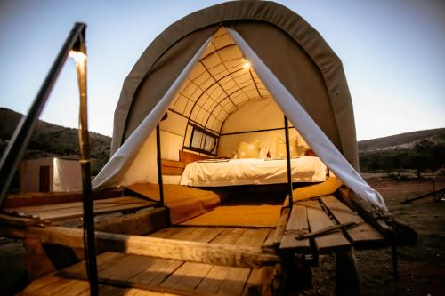a bed in a dome tent on a wooden deck at Witmos Oxwagoncamp in Somerset East