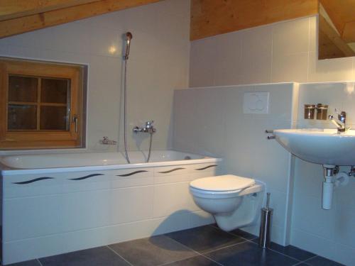 ein Bad mit einem WC und einem Waschbecken in der Unterkunft Christoph STANDING & CALM chalet 10 pers by Alpvision Résidences in Veysonnaz