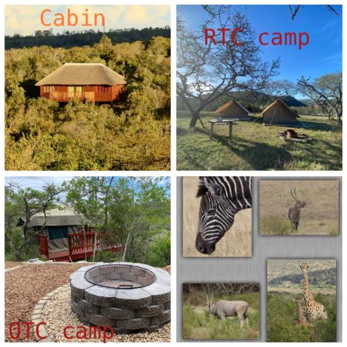 Fotografie z fotogalerie ubytování Horseshoe Game Reserve v destinaci East London