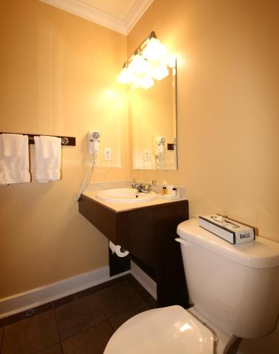 a bathroom with a sink and a toilet and a mirror at Grenfell Heritage Hotel & Suites in St. Anthony