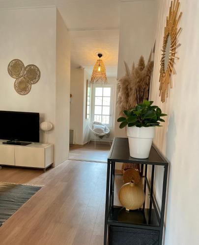 Appartement aux pieds du Palais des Papes.