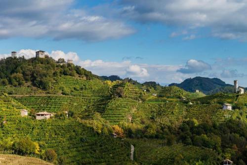 a view of a vineyard on a hill at Casa Gina & Jeto in Farra di Soligo