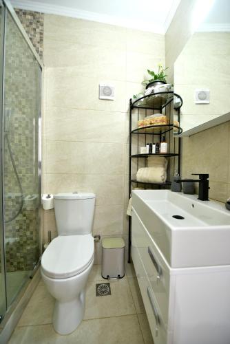 a bathroom with a toilet and a sink and a shower at Agate Hydra luxury apartment in Hydra