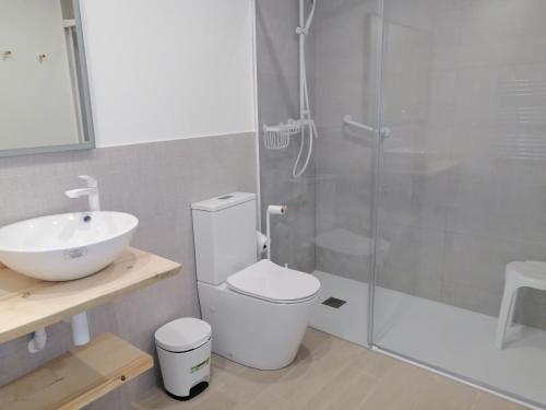 een badkamer met een toilet, een wastafel en een douche bij Apartamento La Cuculla in Ezcaray