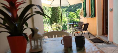Affittacamere Angela في ليفانتو: طاولة مع نبات الفخار وطاولة وكراسي