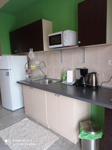 Kuchyň nebo kuchyňský kout v ubytování Panorama Apartments