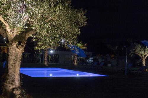 a swimming pool at night with a tree at Ribeira House in Mirandela