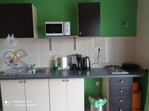 Kuchyň nebo kuchyňský kout v ubytování Panorama Apartments