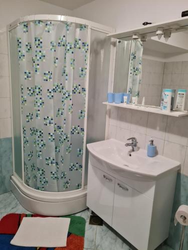 ein Bad mit einer Dusche und einem Waschbecken in der Unterkunft Apartment Mihael in Dubrovnik