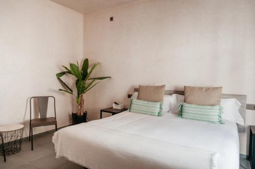 a bedroom with a white bed and a plant at ASTUTO Boutique Jerez - Adults Only in Jerez de la Frontera