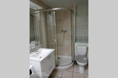 a bathroom with a shower and a toilet and a sink at Gite La Hulotte in Saint-Laurent-sur-Mer