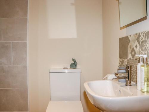 een badkamer met een wit toilet en een wastafel bij Lannlyvri Lodge in Bodmin