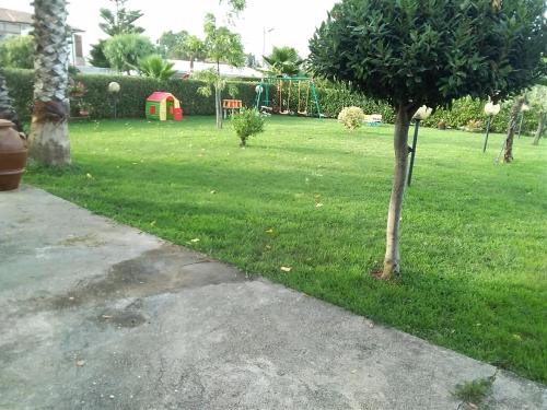 a tree in a grassy yard with a playground at B&B Antica Hera in Foce del Sele