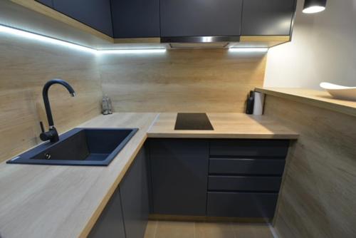 a kitchen with a sink and a counter top at Ragioniere in Vrnjačka Banja