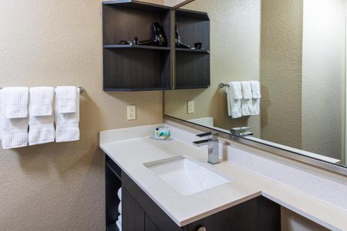a bathroom with a sink and a mirror at Candlewood Suites Appleton, an IHG Hotel in Appleton