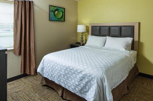 a bedroom with a large bed and a window at Candlewood Suites Appleton by IHG in Appleton