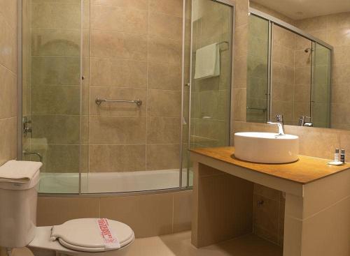 波托西的住宿－Hostal Colonial Potosi，带淋浴、卫生间和盥洗盆的浴室