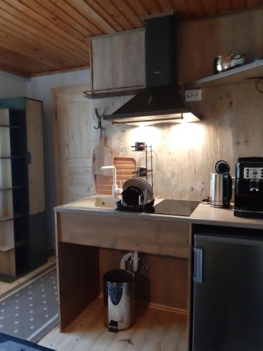 a kitchen with a sink and a stove top oven at Apartement in Kipi
