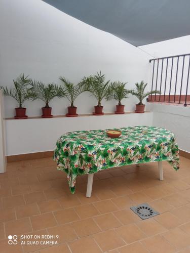 Cómodo adosado en San Bartolomé في San Bartolomé de la Torre: مقعد ومقعد مزهر في غرفة بها نباتات