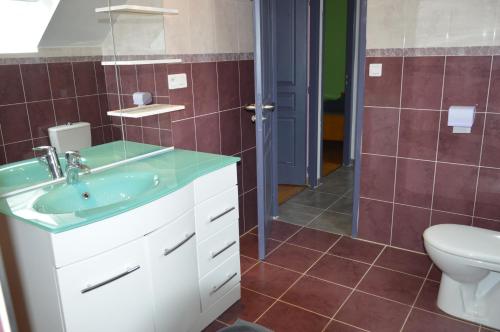 a bathroom with a sink and a toilet at Gîtes des Palanges à l'Aubrac in Sévérac-lʼÉglise