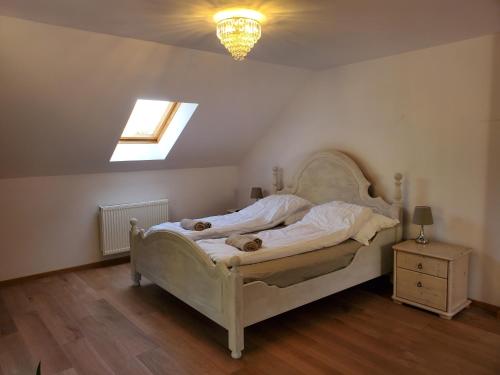 a bedroom with a bed and a skylight at Nad Dąbrówką in Mała Huta